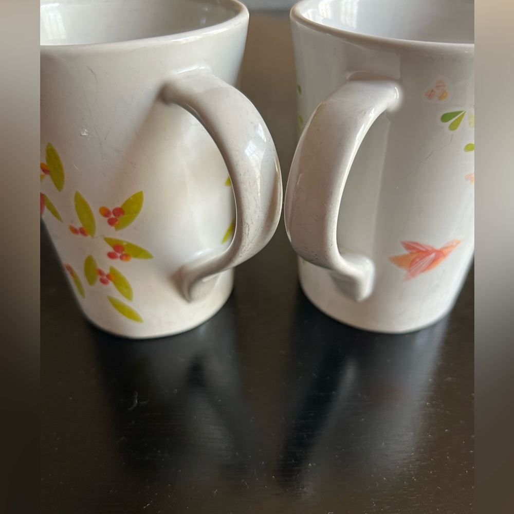 Floral Ceramic Mugs/3birds and red bird mugs